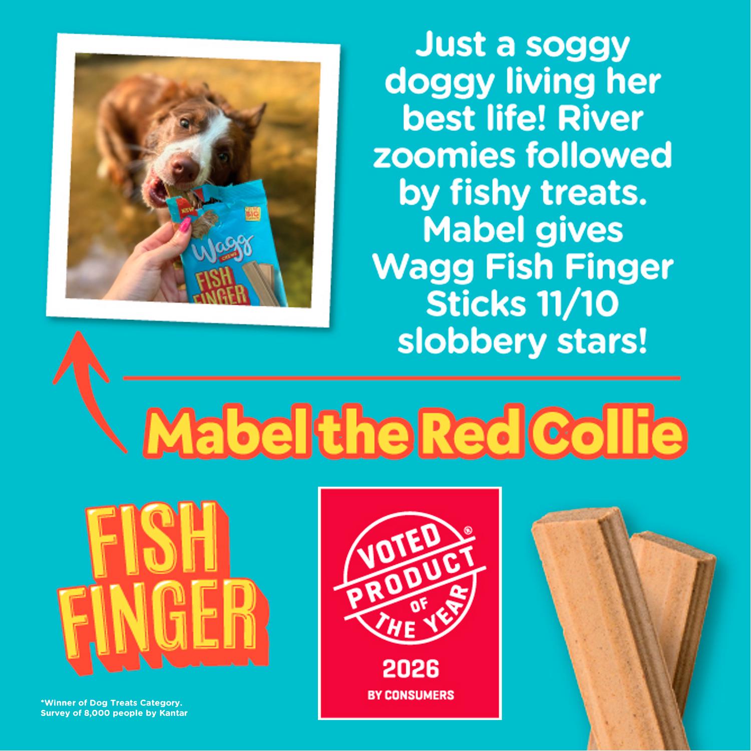 Wagg Fish Fingers Sticks Dog Treats 130g (British brand)