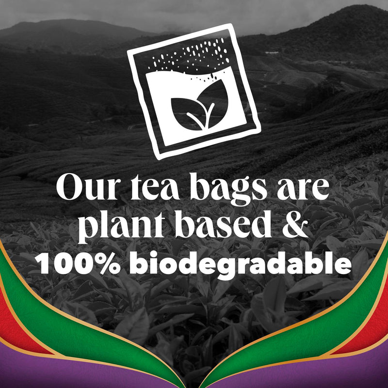 Earl Grey Flavoured Black Tea Bags with Bergamot, 70 Bags 175g