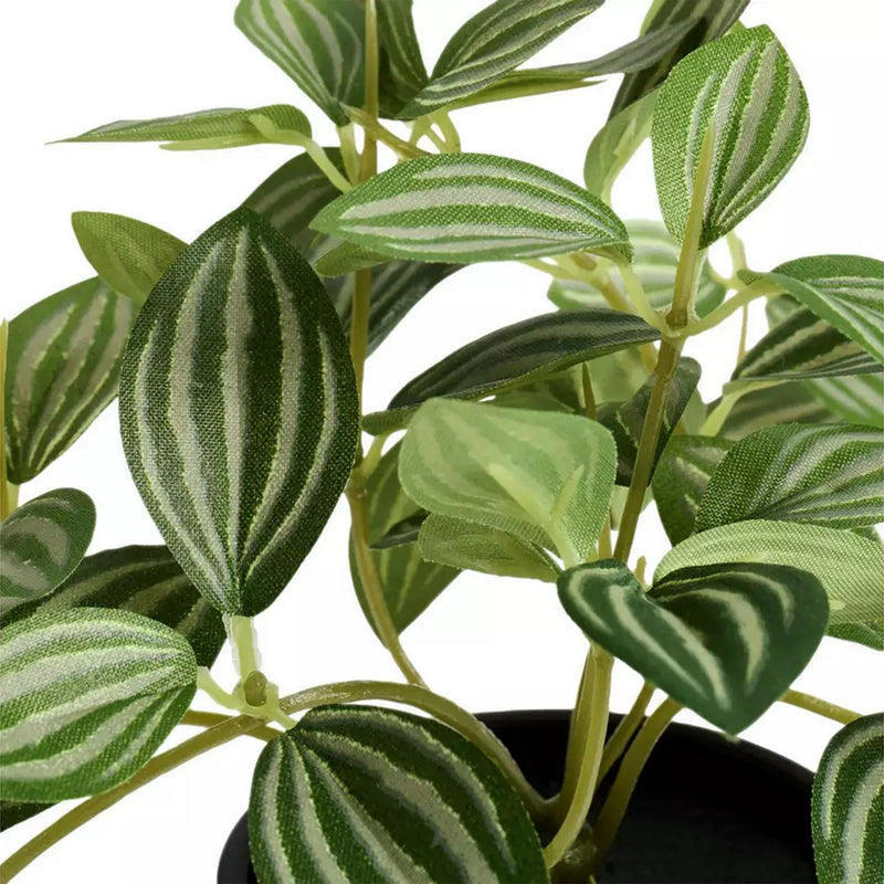 Habitat Artificial Green Small Trailing Plant 17cm, UK version