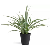 Sainsbury's Home Large Faux Spider Plant - Green