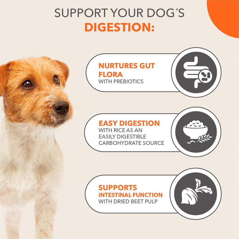 IAMS sensitive digestion dog food with turkey for adult dogs 2kg, UK version