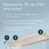 Brita Maxtra Pro Style Essential Water Filter Jug - British product