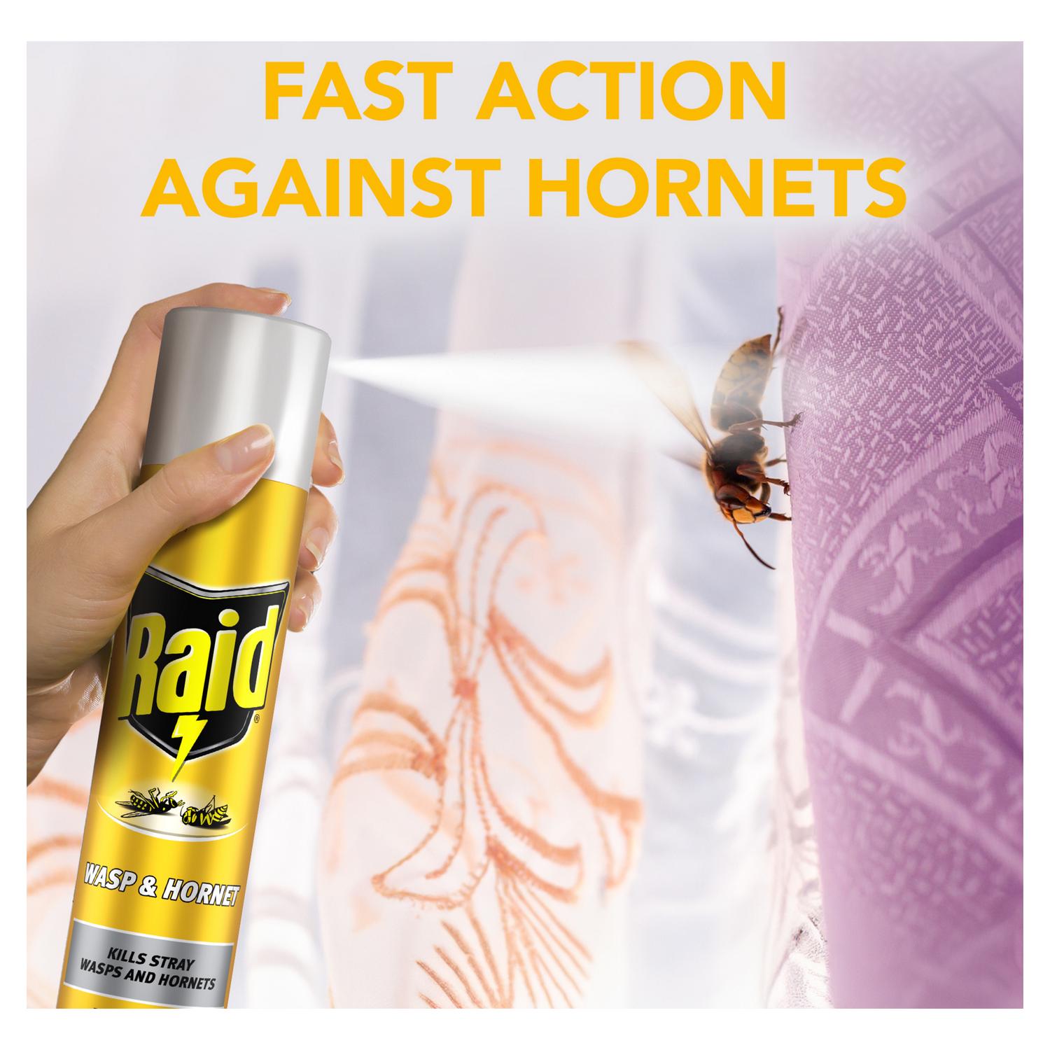 Raid rapid action wasp hornet spray 300ml, imported from the UK