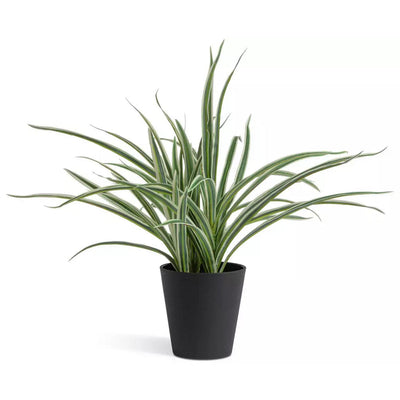 Sainsburys Sainsbury's Home Faux Spider Plant Green Artificial Plant 38.1cm- Buy online at McGrocer
