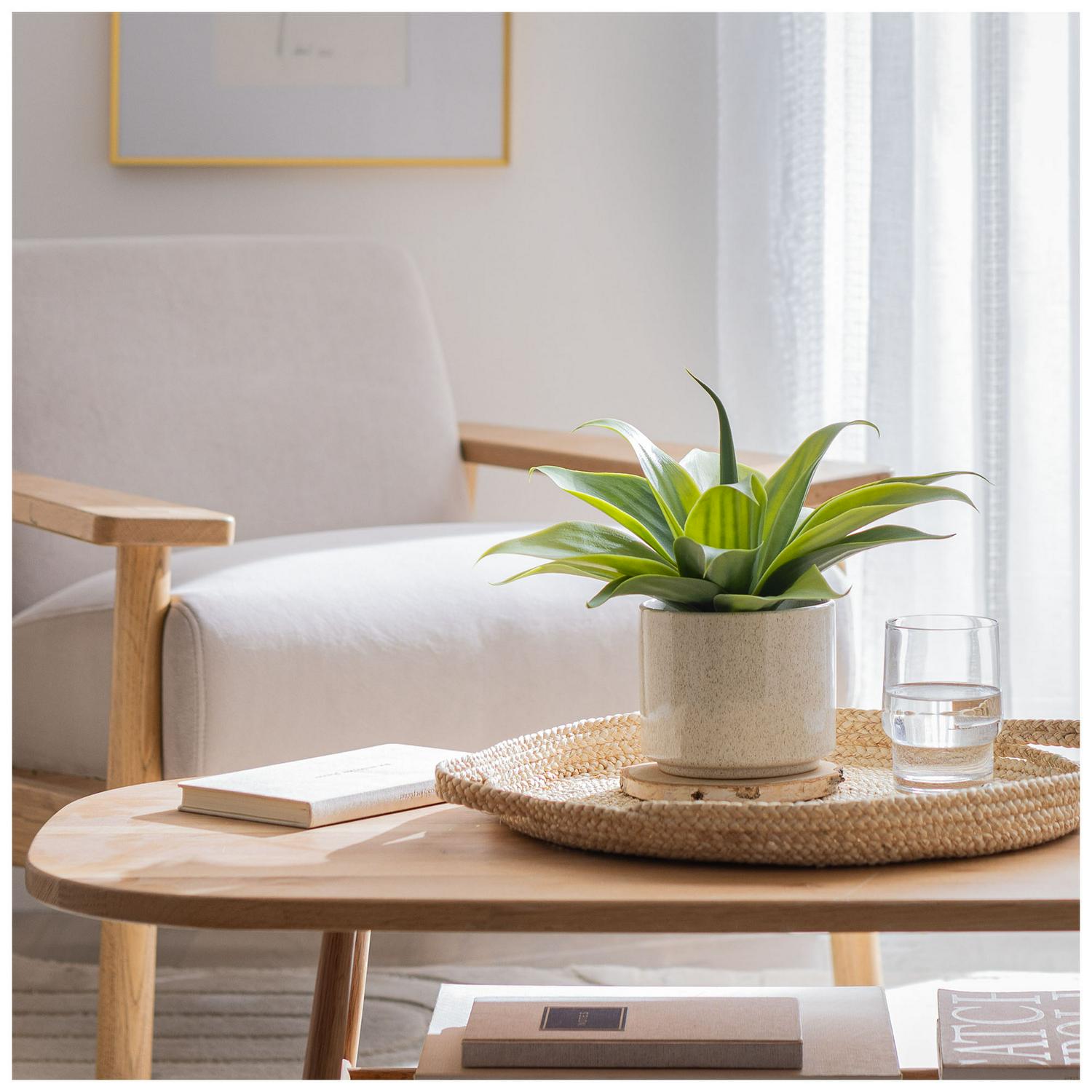 Habitat artificial aloe in reactive glazed pot 30.5cm, UK version