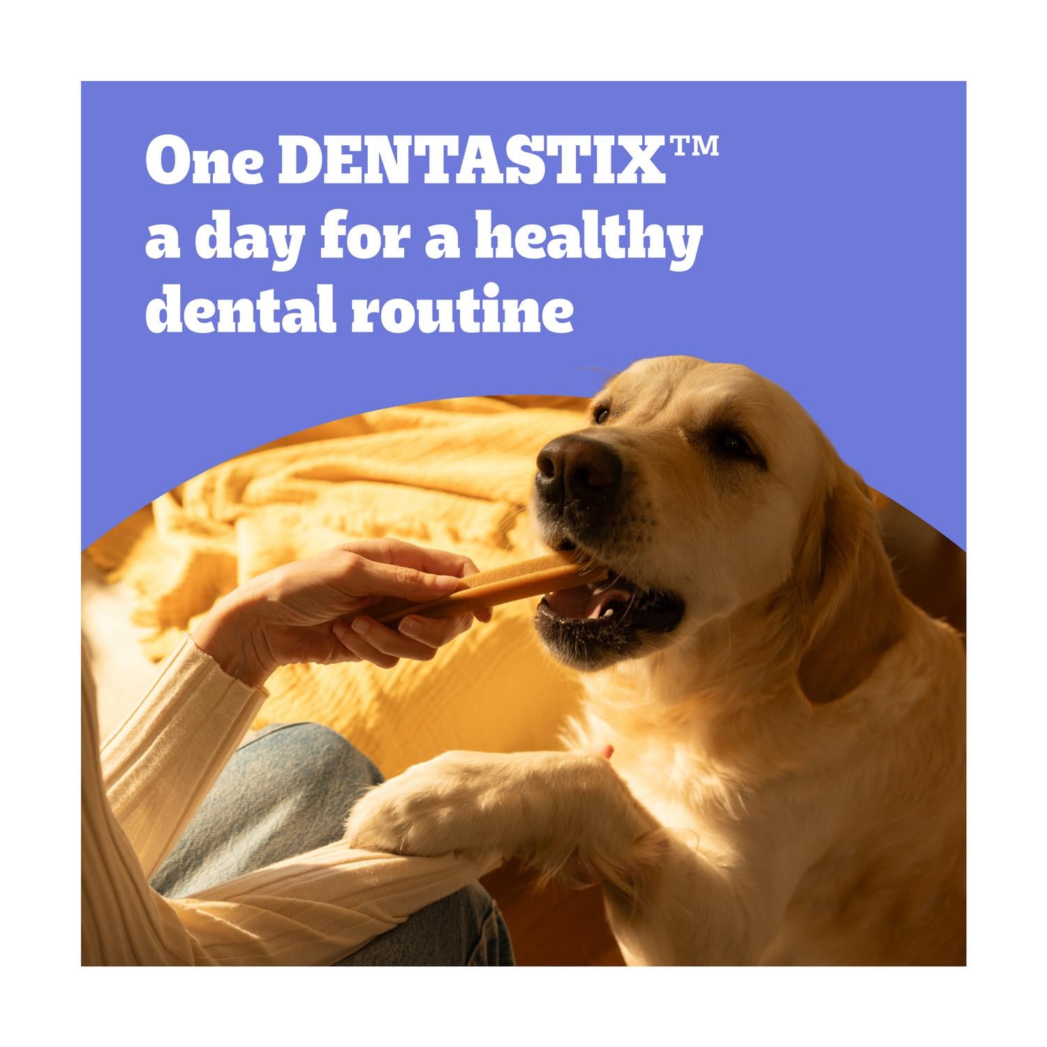 Pedigree Dentastix Daily Adult Medium Dental Sticks 128g, imported from the UK
