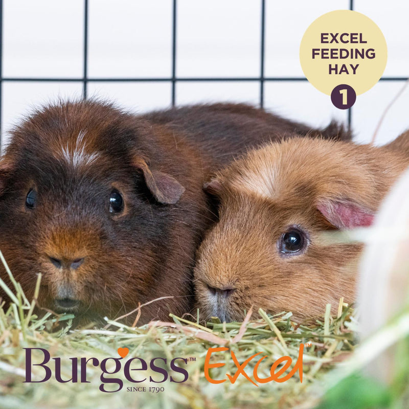 Burgess Excel hay with meadow flowers 500g - British product