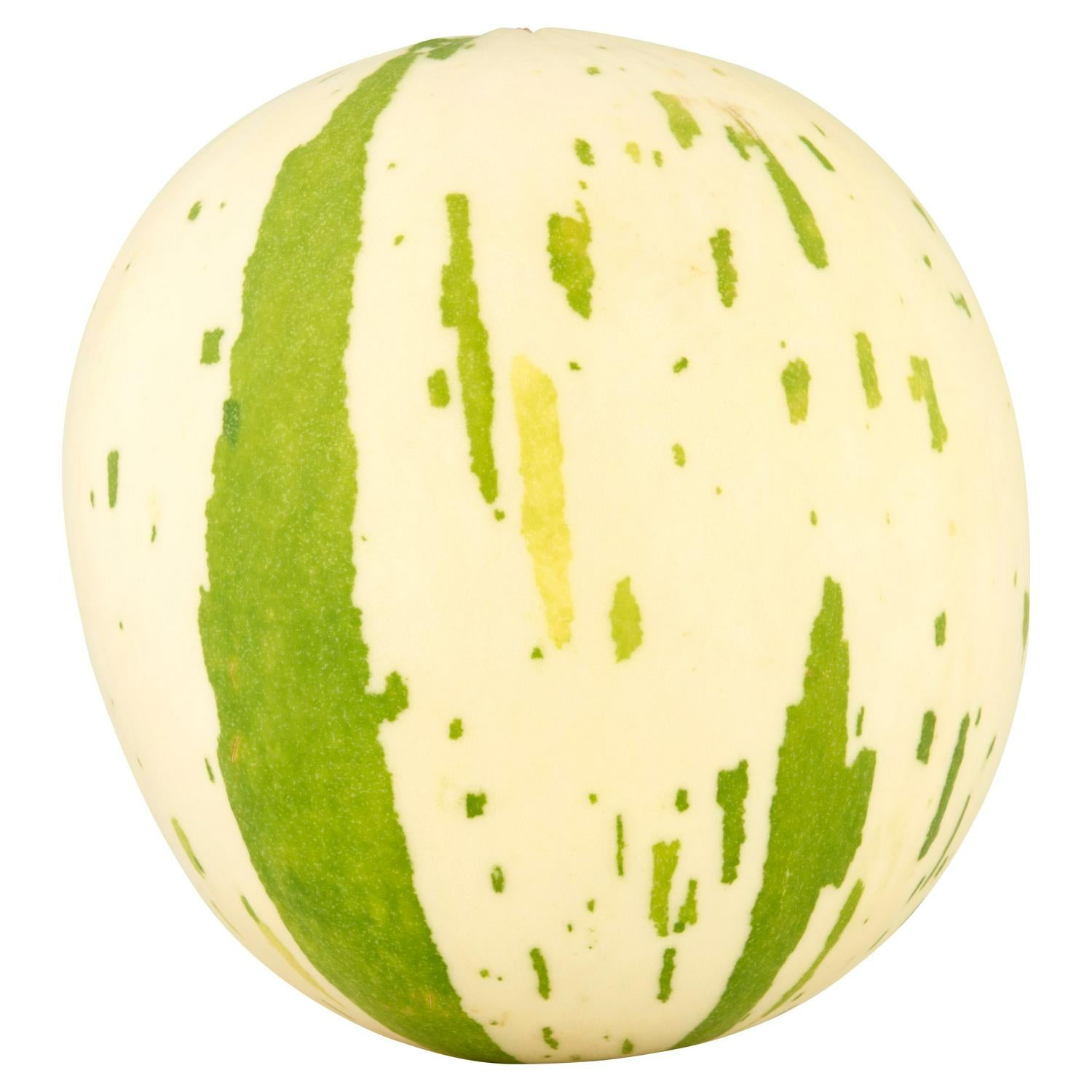 Snowball Melon – Intensely Sweet Fruit, Suitable for Vegetarians