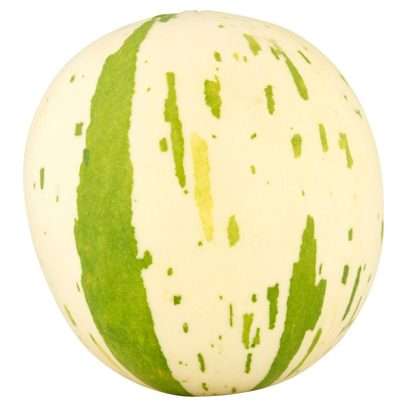Snowball Melon – Intensely Sweet Fruit, Suitable for Vegetarians