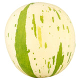 Snowball Melon – Intensely Sweet Fruit, Suitable for Vegetarians