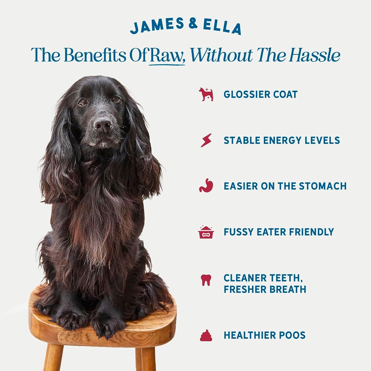 James & Ella dog food Kibble + Raw Grass Fed Beef 1.5kg (British brand)