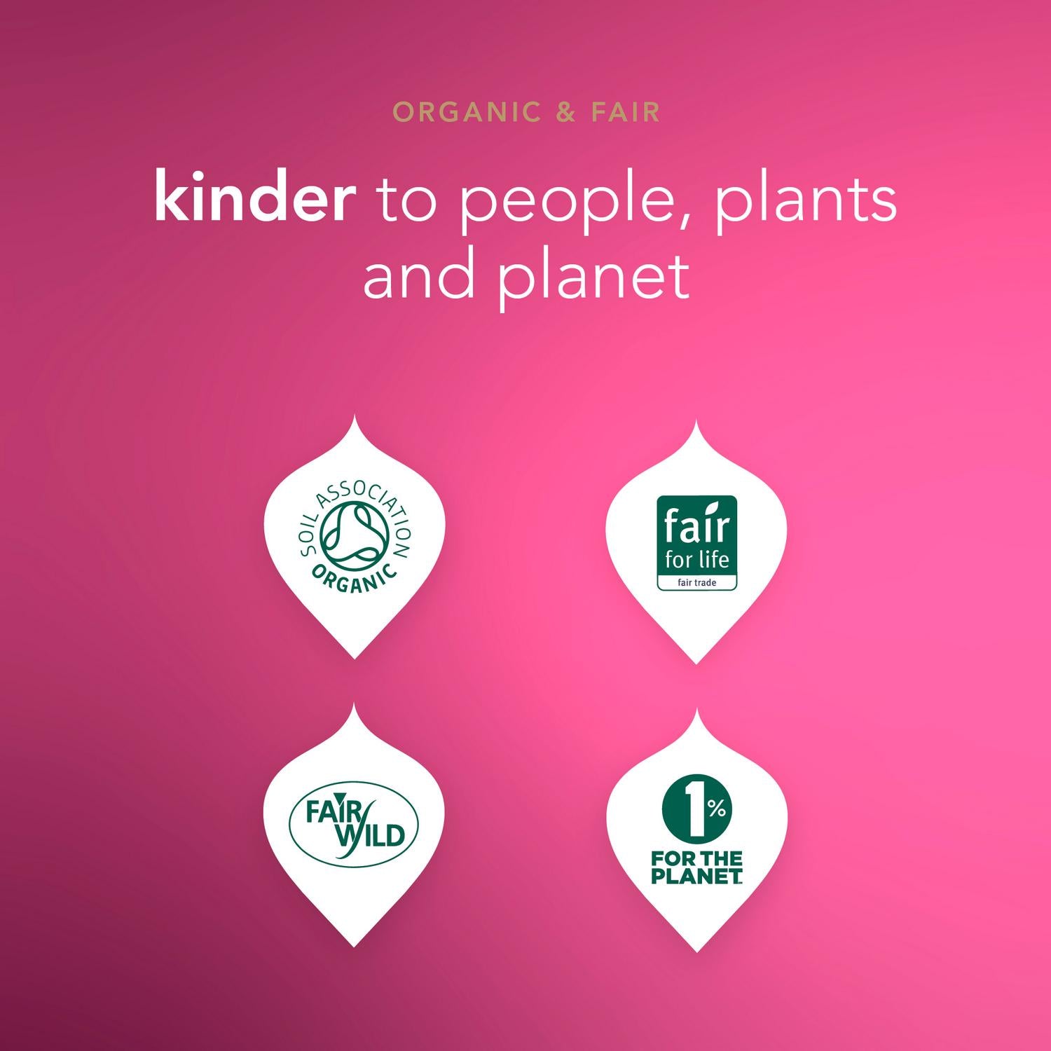 Pukka Organic Morning Berry Fruit Tea Home Compostable Herbal Tea Bags x20