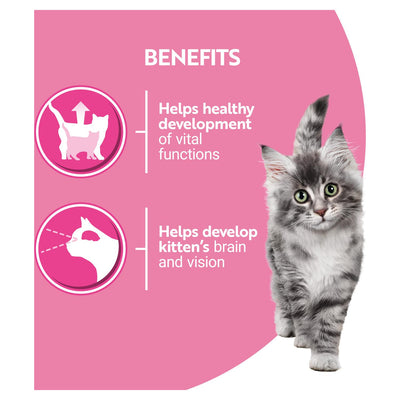 Purina One Chatons nourriture humide Saumon et Carotte 8 x 85g