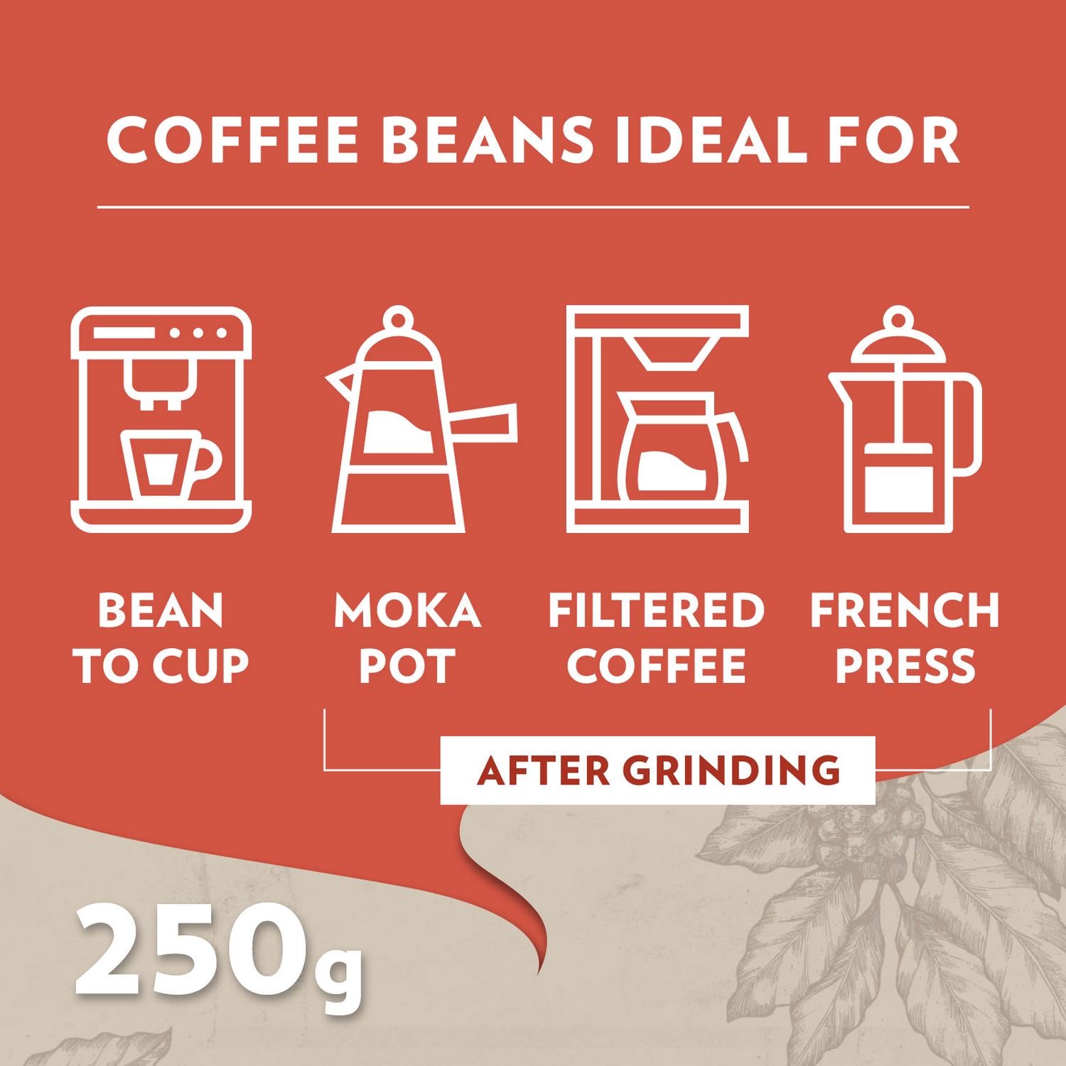 Lavazza Tales of Roma Coffee Beans 250g, UK version