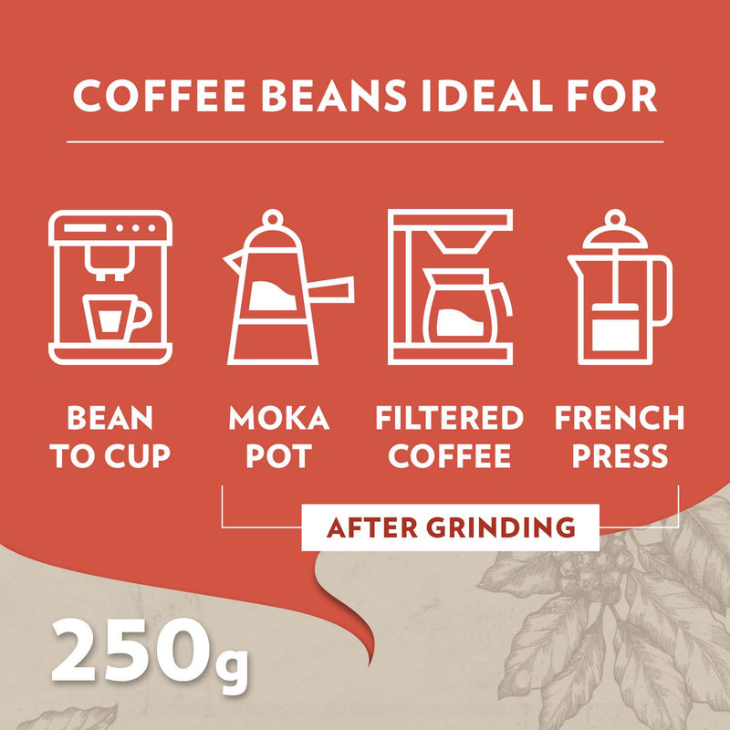 Lavazza Tales of Roma Coffee Beans 250g, UK version