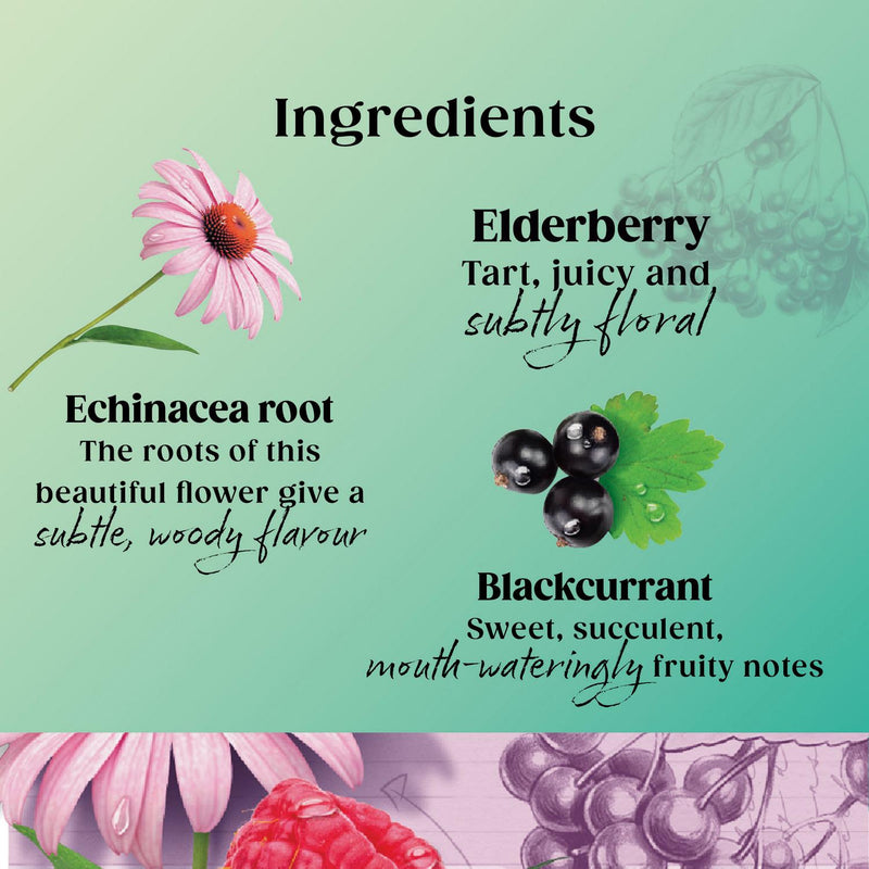 Twinings Immune Support Blackcurrant Raspberry Tea Bags 40g (British brand)
