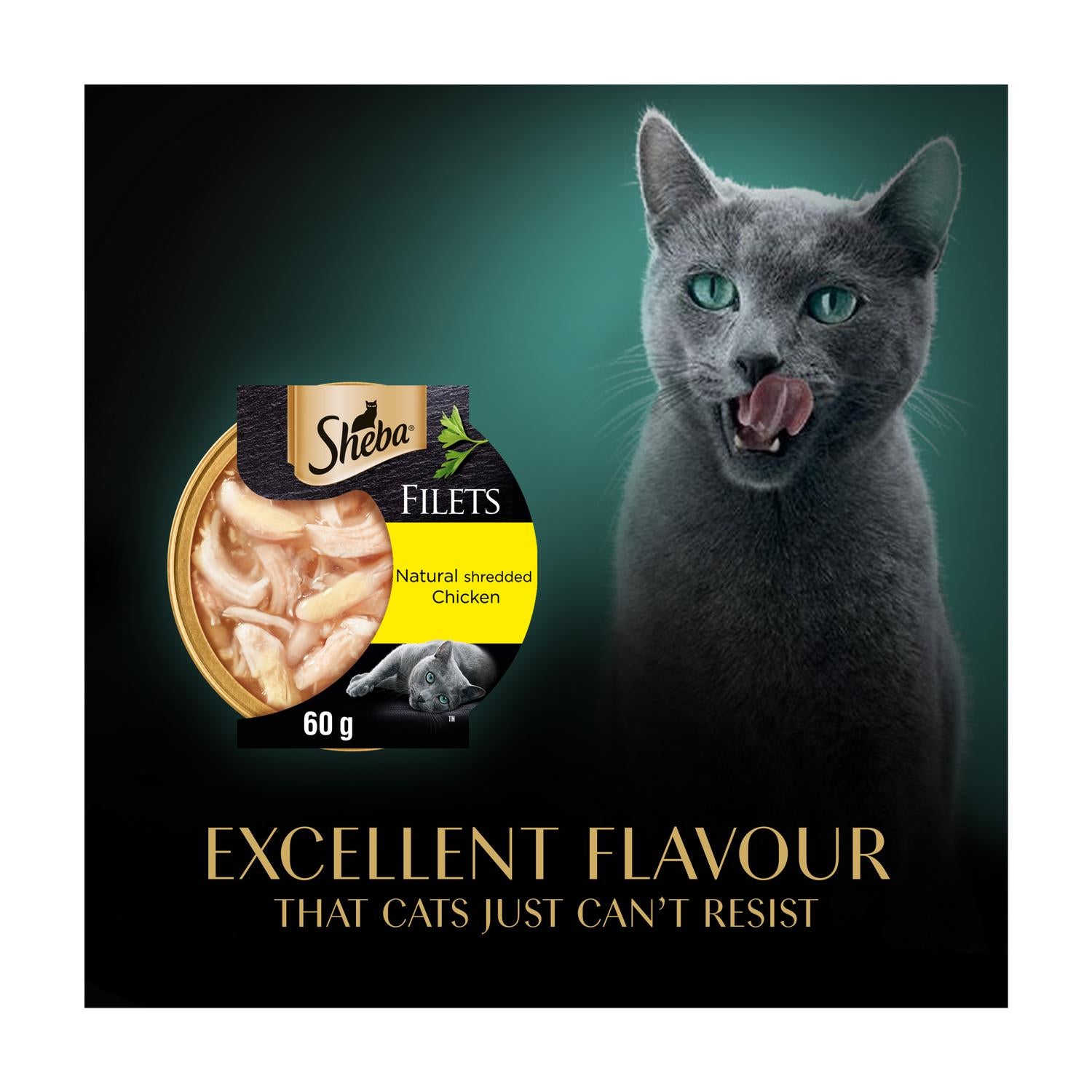 Sheba Adult Cat Food Fillets Chicken in Gravy 60g (British brand)