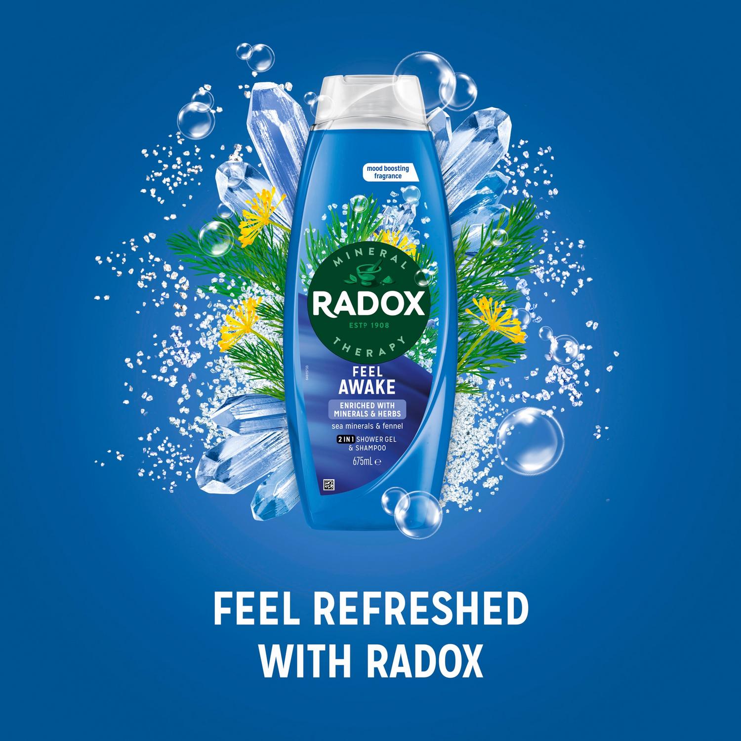 Radox Mineral Therapy 2in1 Body Wash & Shampoo Feel Awake 675ml