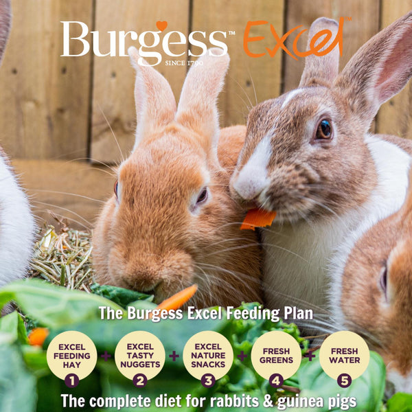 Feeding Hay with Meadow Flowers for Rabbits and Guinea Pigs 500g