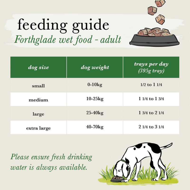Forthglade wet dog food variety pack 6x395g - British product