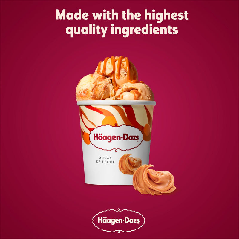 Haagen-Dazs Dulce De Leche ice cream 460ml, UK version