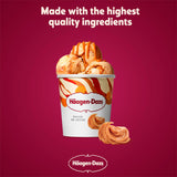 Haagen-Dazs Dulce De Leche ice cream 460ml, UK version
