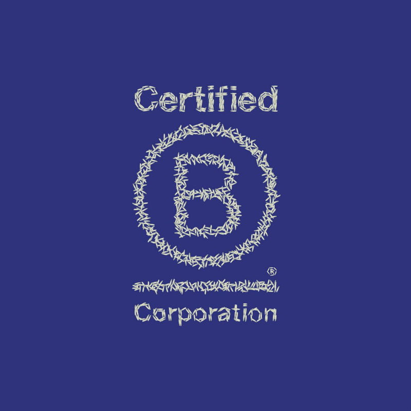 Tilda Chinese Special Fried Rice 250g