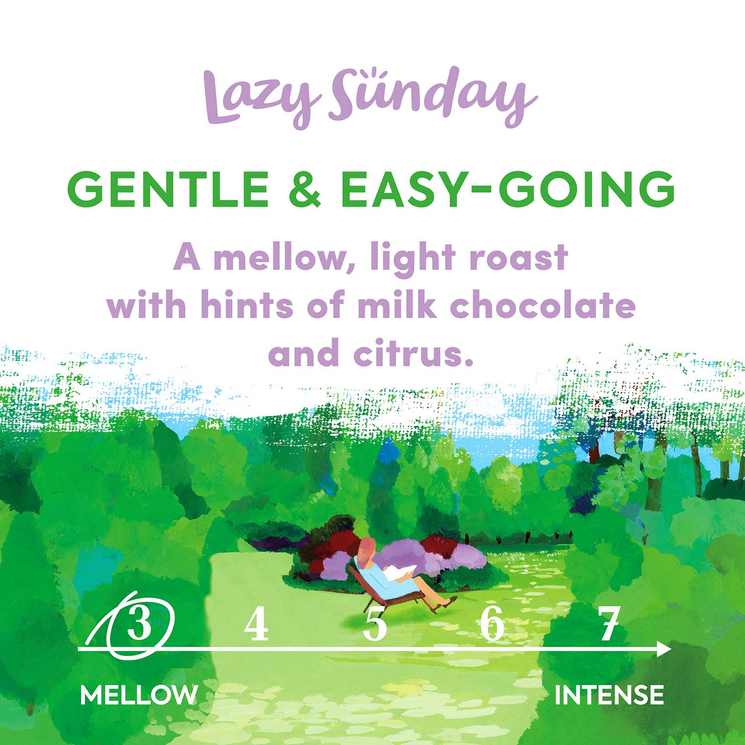 Taylors of Harrogate Coffee Beans Lazy Sunday 200g (British brand)