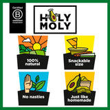 Holy Moly guacamole chip and dip 77g, UK version