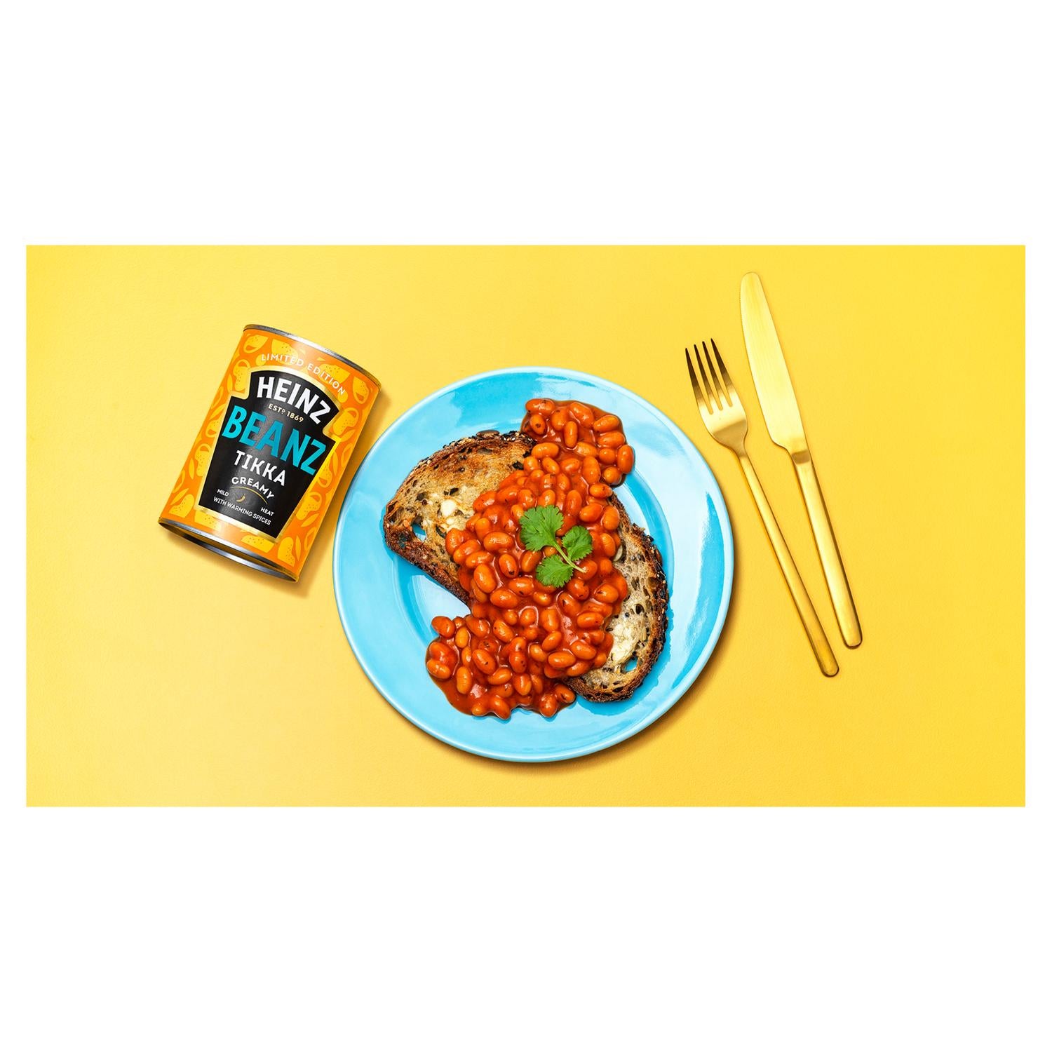 Heinz Baked Beans Tikka Masala Style 390g Tin, UK version