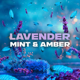 Lynx Fine Fragrance Blue Lavender Duo Gift Set for him