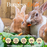 Burgess Excel hay with meadow flowers 500g - British product