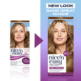 Clairol Nice'N Easy Tone+Gloss Medium Ash Blonde 811/73 Semi Permanent Hair Dye