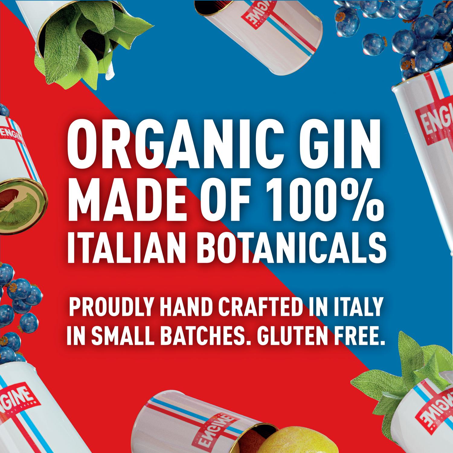 Engine Organic Italian Gin Tonic 237ml