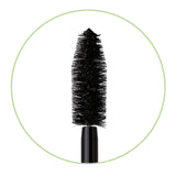Pixi Large Lash Mascara bold black 12ml (International brand)