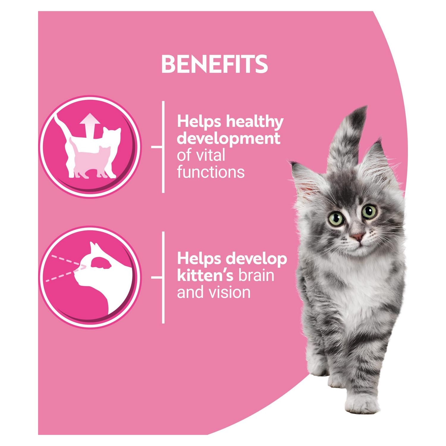 Purina One kitten food 8 x 85g, imported from the UK