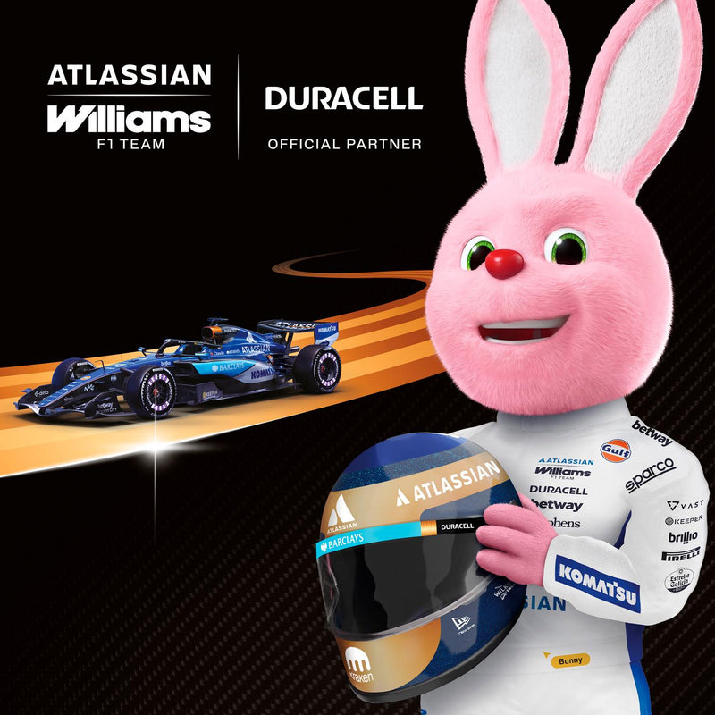 Duracell AA batteries Powerboost Plus 8 pack - British product
