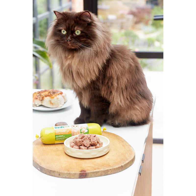 Freshpet Chicken & Turkey Wet Cat Food 350g - British product