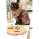 Freshpet Chicken & Turkey Wet Cat Food 350g - British product