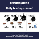 Felix Doubly Delicious Beef Chicken Vegetables Dry Cat Food 750g - British product