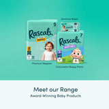 Rascals Premium Nappies Size 6 pack of 30 (British brand)