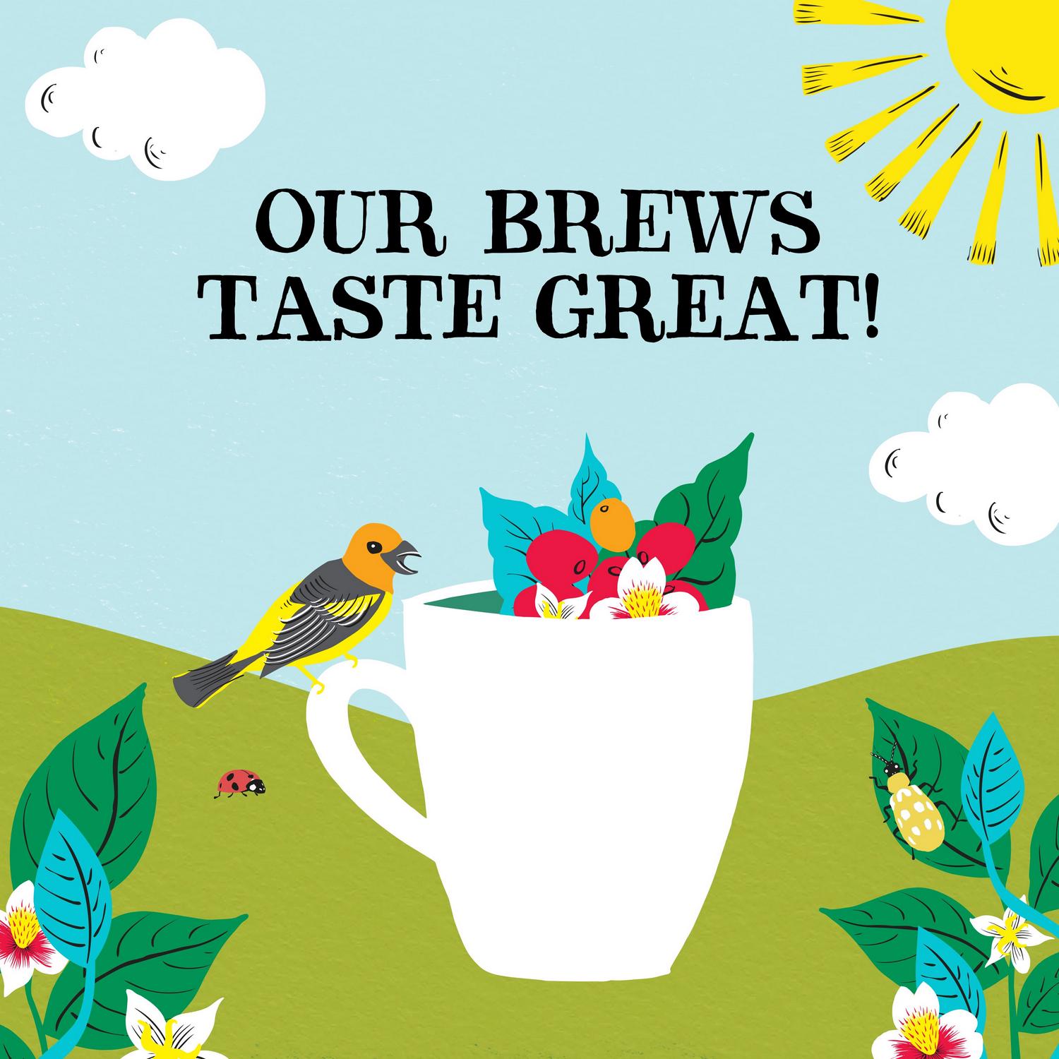 Clipper organic decaffeinated instant coffee Latin American 100g - British product