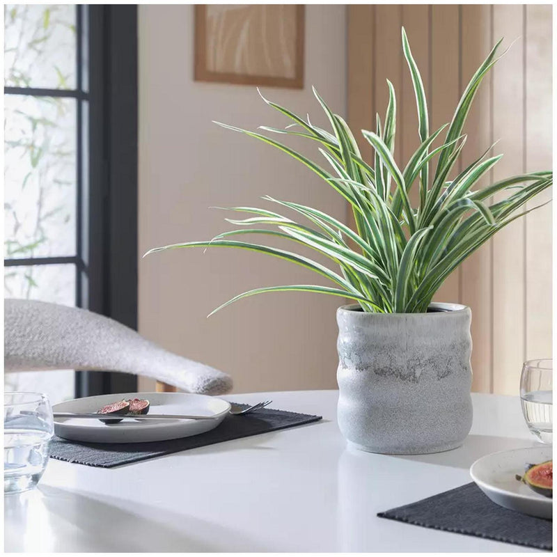 Sainsbury's Home Faux Spider Plant Green 38.1cm (British brand)
