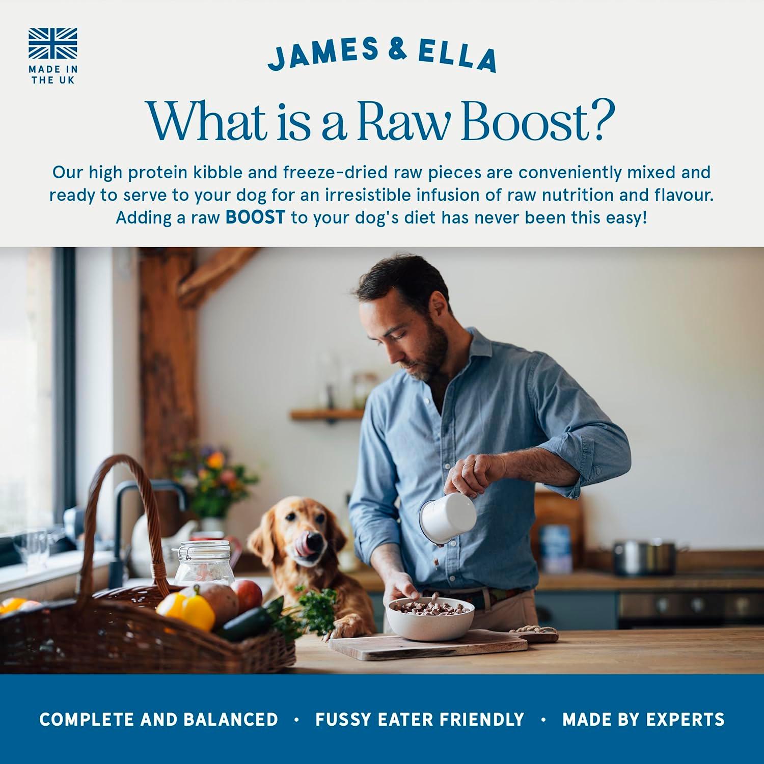 James & Ella dog food Kibble + Raw Grass Fed Beef 1.5kg (British brand)