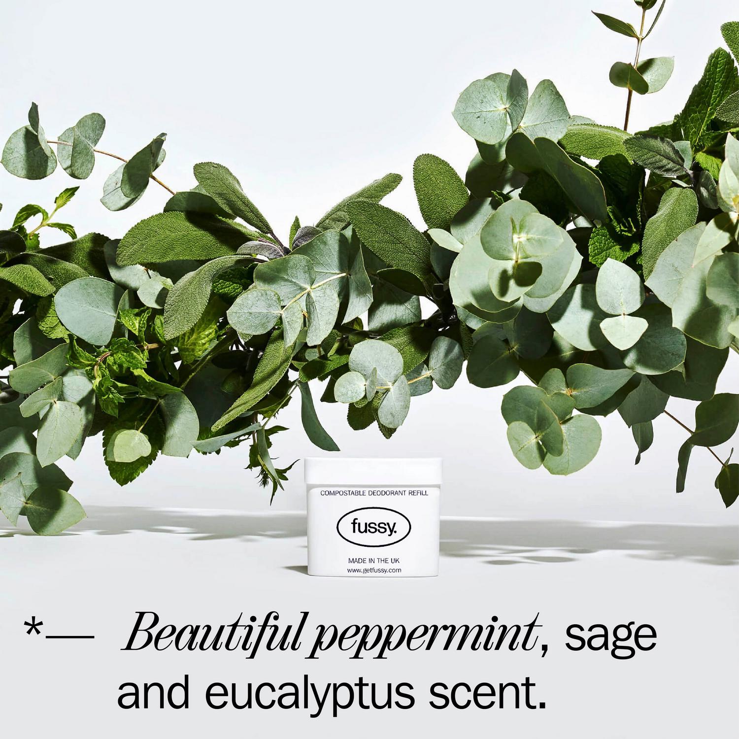 Fussy Natural Deodorant Refill Wavy Days 40g - British product