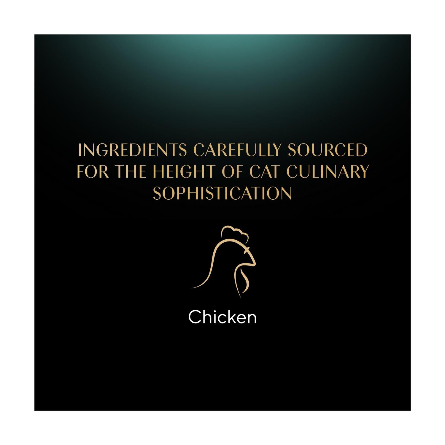Sheba Adult Cat Food Fillets Chicken in Gravy 60g (British brand)