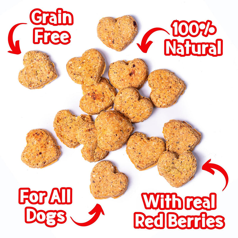 Park Life dog biscuits red berry 100g, imported from the UK