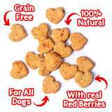 Park Life dog biscuits red berry 100g, imported from the UK
