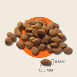 IAMS sensitive digestion dog food with turkey for adult dogs 2kg, UK version