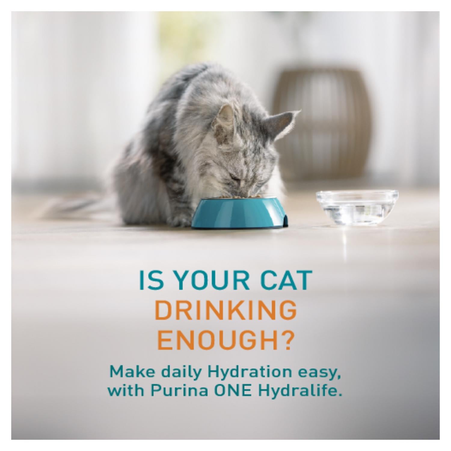 Purina One Hydralife Chicken Supplement 6 x 50g, imported from the UK